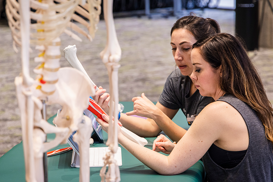 Baylor DPT Students in Waco, Texas