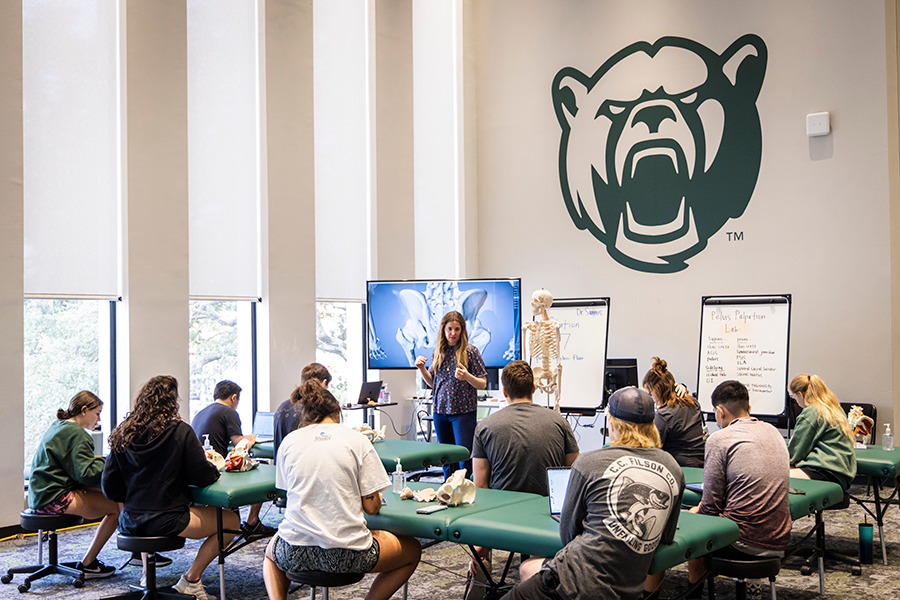 Physical therapy lecture taking place during live immersion