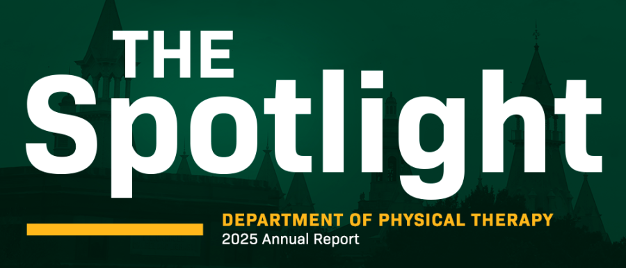 The Spotlight 2025 Annual Report